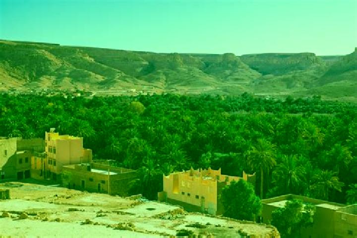 Kinsley, 37 — Escort in Zagora, Morocco