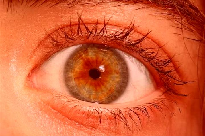 Kinsley, 38, a red hazel-eyed middle eastern companion based in Tavagnacco. Offering Tantra, 69, A-Level. Available for incall and outcall, day and evening d...