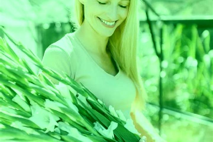 Kinsley, 38 — Escort in Wronki, Poland