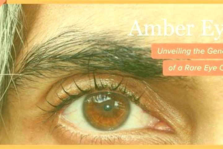 Kinsley, 39, a black amber-eyed european companion based in Rafael Jambeiro. Offering Overnight, Massage, Tantra, 69. Available for incall and outcall, day a...