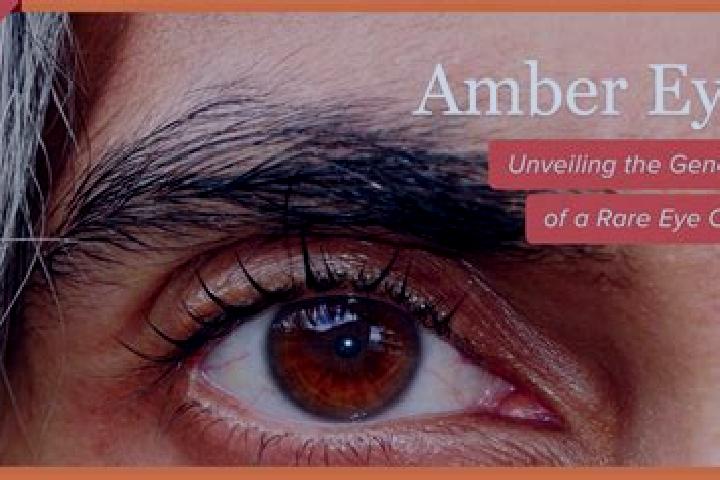 Kinsley, 39, a black amber-eyed indian companion based in Bondy. Offering CIM, OWO, Massage, Couples, A-Level. Available for incall and outcall, overnight bo...