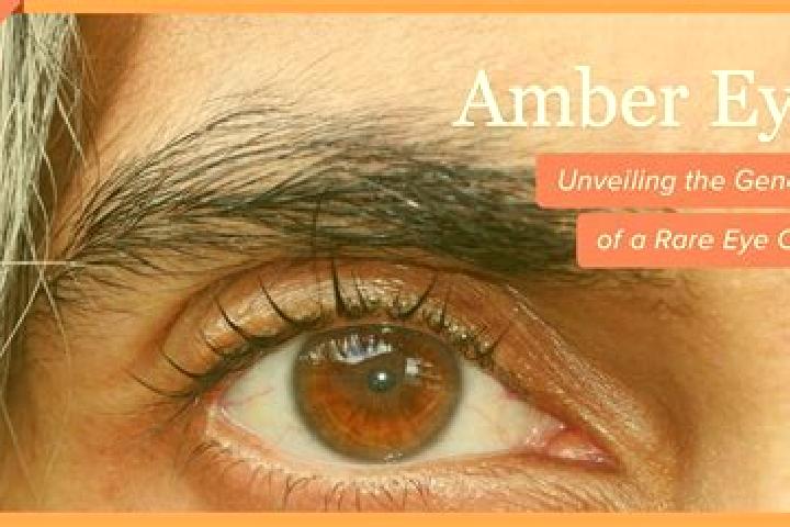 Kinsley, 39, a black amber-eyed indian companion based in Cizzago. Offering Girlfriend Experience, OWO, Overnight. Available for incall and outcall, day and ...