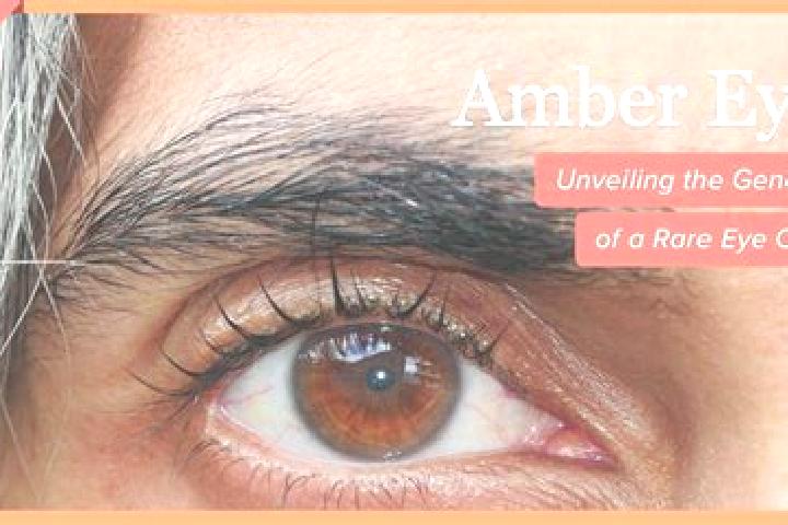 Kinsley, 39, a black amber-eyed middle eastern companion based in Huautla. Offering GFE, Roleplay, Tantra. Available for incall and outcall, day and evening ...