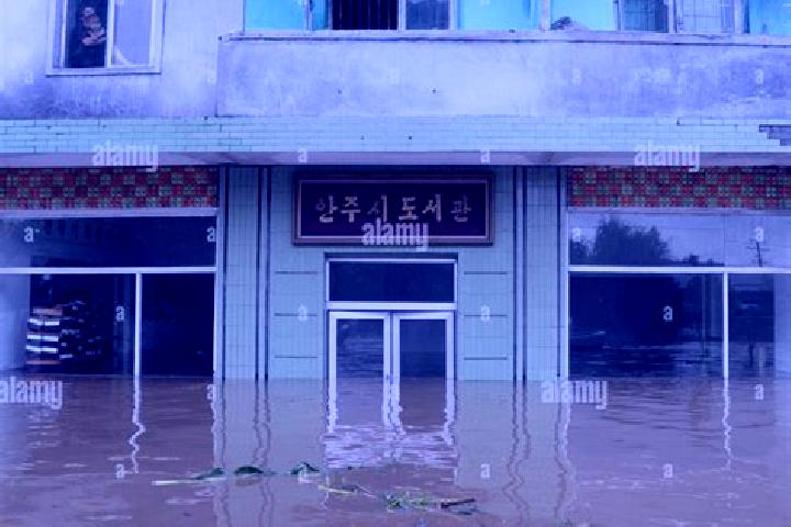 Kinsley, 39 — Escort in Anju, North Korea
