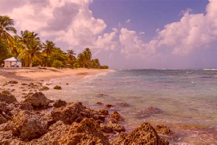 Kinsley, 39 — Escort in Anse-Bertrand, Guadeloupe