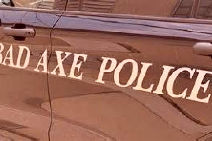 Kinsley, 39 — Escort in Bad Axe, United States