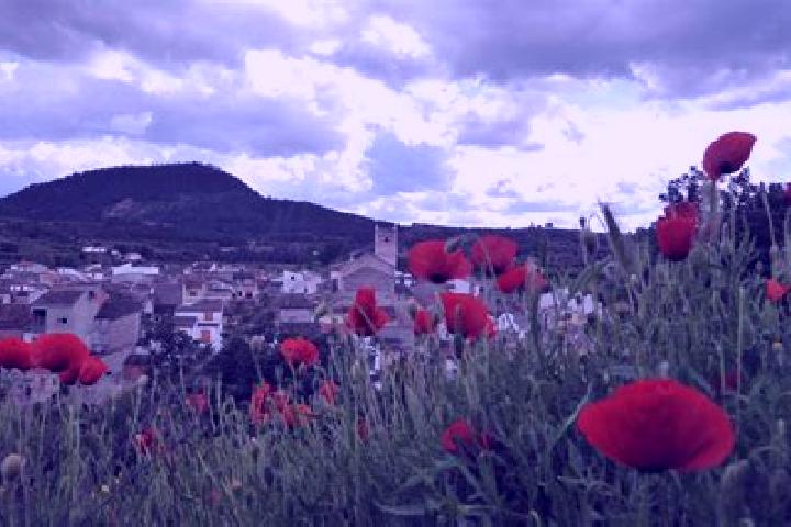 Kinsley, 39 — Escort in Bicorp, Spain
