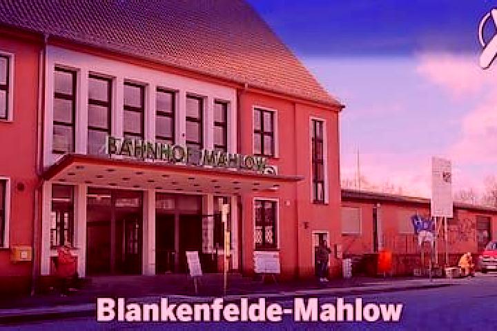 Kinsley, 39 — Escort in Blankenfelde-Mahlow, Germany