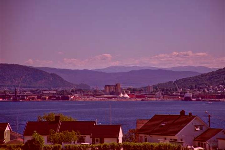 Kinsley, 39 — Escort in Drammen, Norway