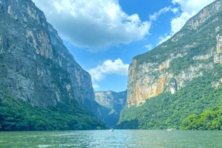 Kinsley, 39 — Escort in El Encajonado, Mexico