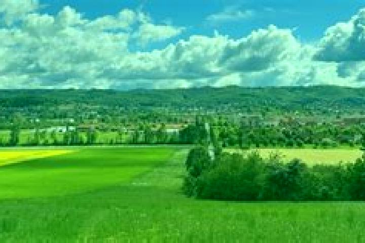 Kinsley, 39 — Escort in Graefenhainichen, Germany