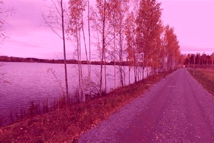 Kinsley, 39 — Escort in Lentaevaenniemi, Finland