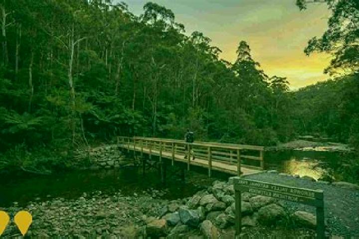 Kinsley, 39 — Escort in Mount Colah, Australia