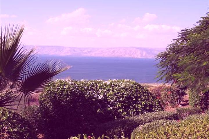 Kinsley, 39 — Escort in Tiberias, Israel
