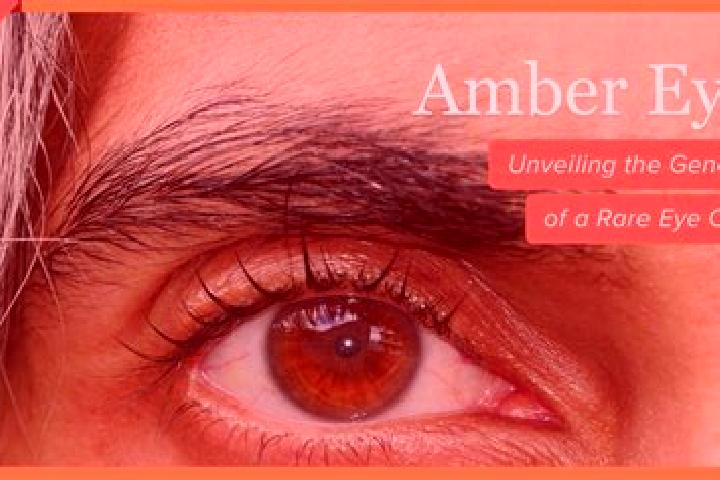 Layla, 20, a red amber-eyed caribbean companion based in Anyi. Offering A-Level, Erotic Massage, Striptease, Couples. Available for incall and outcall, day a...