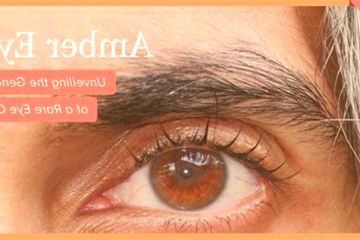 Layla, 20, a red amber-eyed ebony companion based in Chekalin. Offering CIM, Prostate Massage, Fetish, BDSM. Available for incall and outcall, day and evenin...