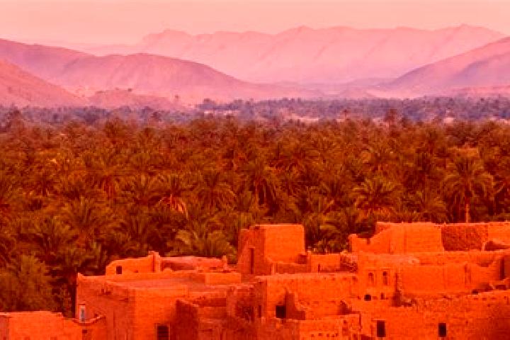 Layla, 20 — Escort in Ain Harrouda, Morocco