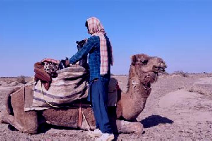 Layla, 20 — Escort in Dasht-e Qal ah, Afghanistan