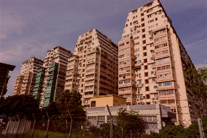 Layla, 20 — Escort in Lai On Estate, Hong Kong