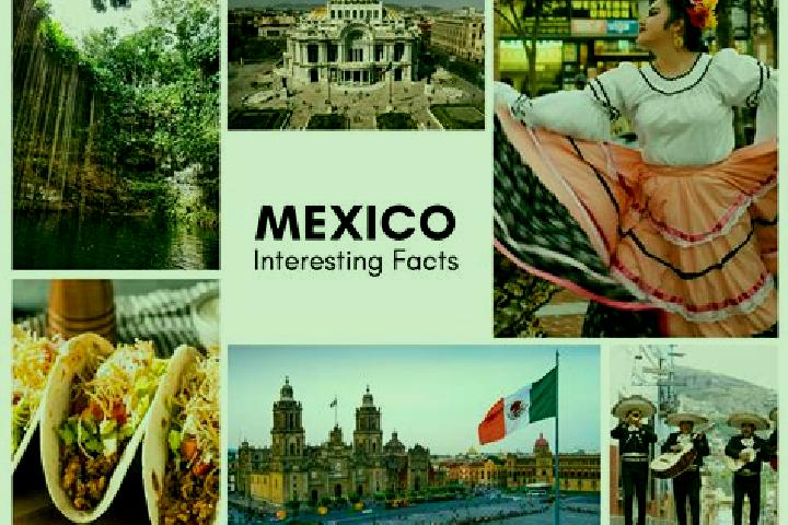 Layla, 20 — Escort in Poxcuatzingo, Mexico