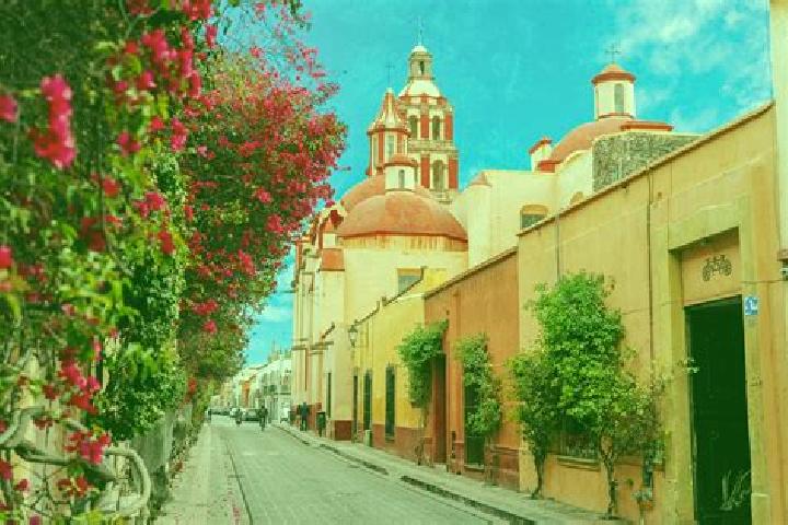 Layla, 20 — Escort in Pueblo Quieto, Mexico
