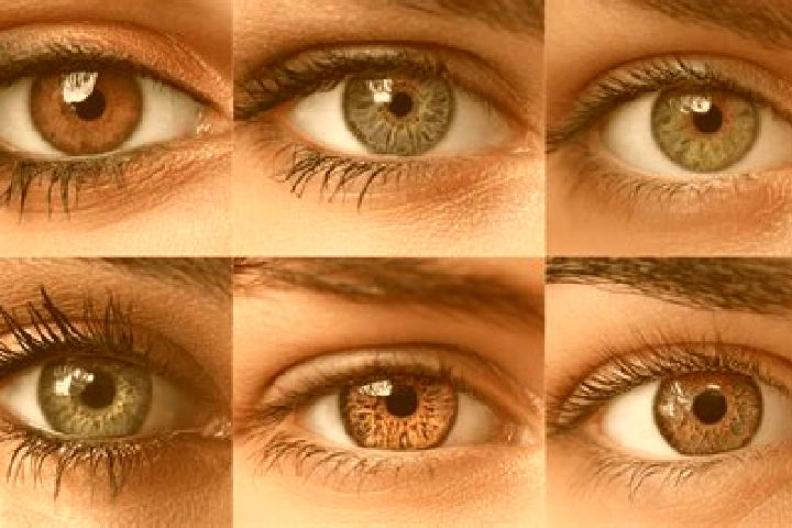 Layla, 21, a black hazel-eyed mediterranean companion based in Basye. Offering Roleplay, Overnight, A-Level. Available for incall and outcall, overnight book...
