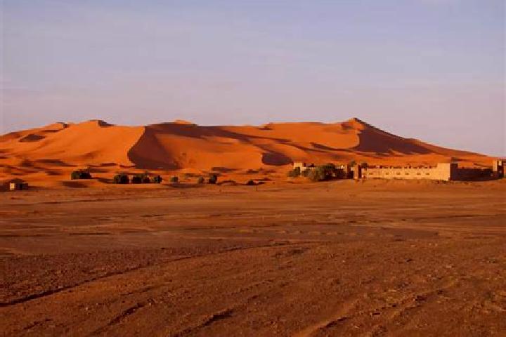 Layla, 21 — Escort in Driouch, Morocco