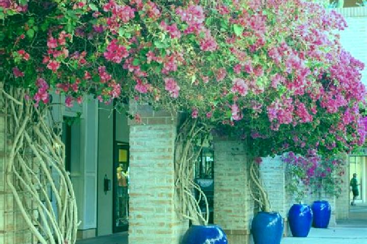 Layla, 22 — Escort in Bugambilias (La Cruz), Mexico