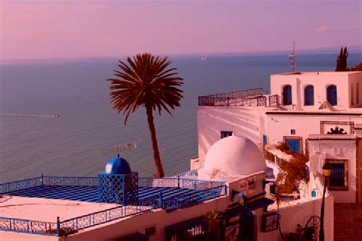 Layla, 22 — Escort in Jedeida, Tunisia