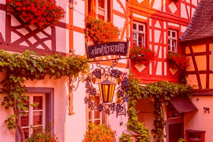 Layla, 22 — Escort in Schmidthachenbach, Germany