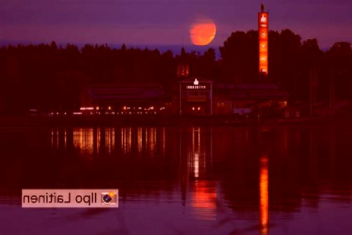 Layla, 22 — Escort in Viitasaari, Finland