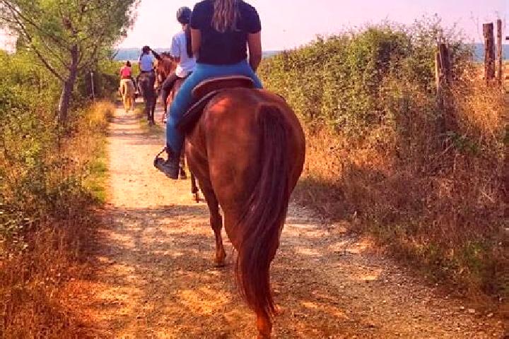 Layla, 23 — Escort in Castellina Scalo, Italy