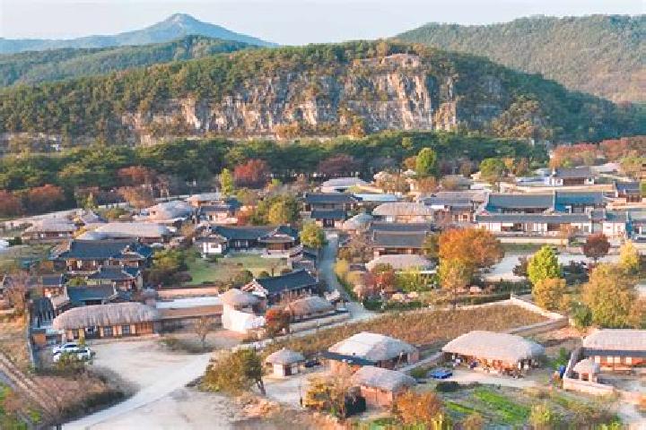 Layla, 23 — Escort in Hahoe-dong, North Korea