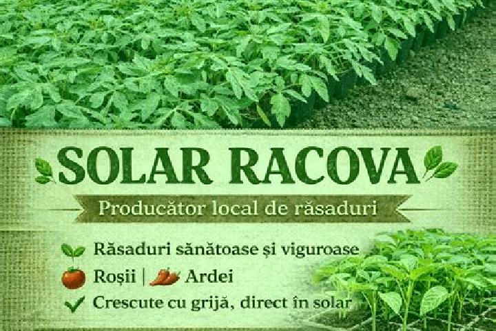 Layla, 23 — Escort in Racova, Romania
