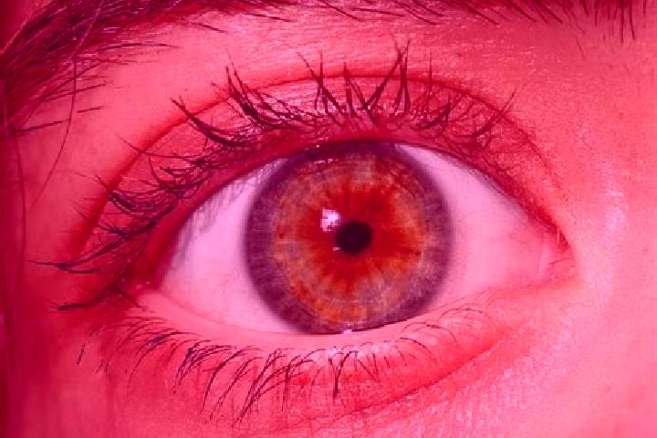 Layla, 24, a red hazel-eyed mediterranean companion based in Kubangeceng. Offering A-Level, Deep French Kissing, Duos, Overnight, Roleplay. Available for inc...