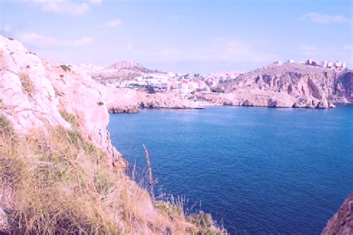 Layla, 24 — Escort in Al Hoceima, Morocco