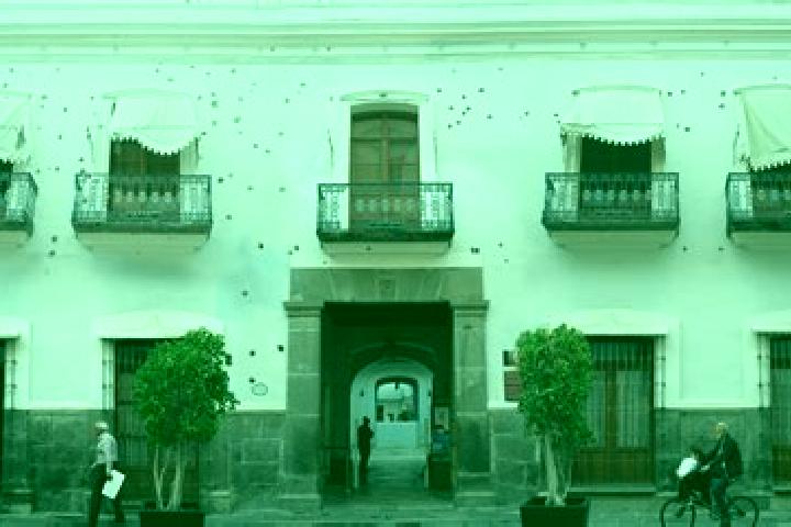 Layla, 24 — Escort in Aquiles Serdan (La Hediondilla), Mexico
