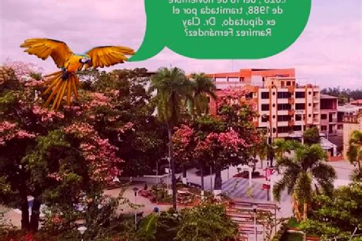 Layla, 24 — Escort in Bermejo, Bolivia