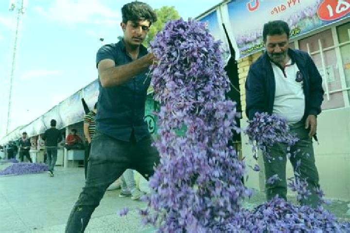 Layla, 24 — Escort in Torbat-e Heydariyeh, Iran