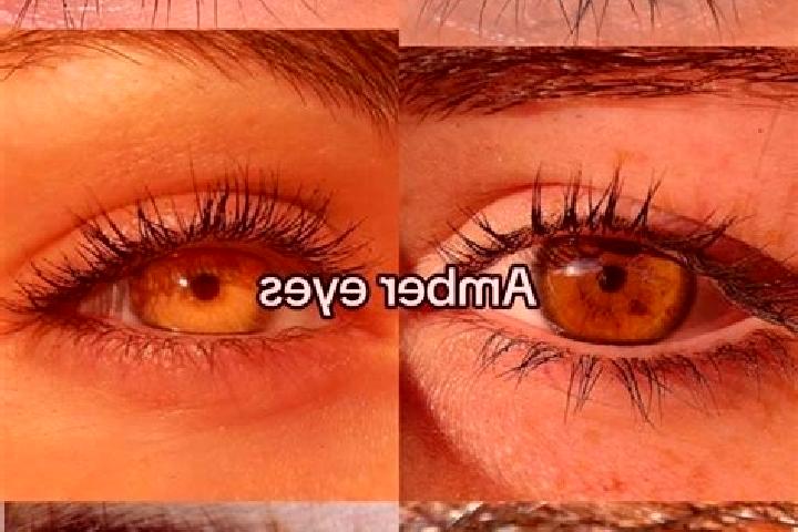 Layla, 25, a brunette amber-eyed european companion based in Gavato. Offering Prostate Massage, GFE, Fetish. Available for incall and outcall, overnight book...