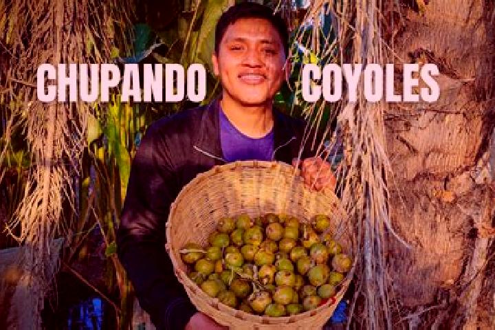 Layla, 25 — Escort in Coyoles Central, Honduras