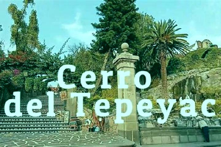 Layla, 25 — Escort in San Francisco Tepeyecac, Mexico