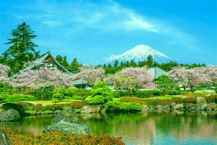 Layla, 26 — Escort in Fujinomiya, Japan