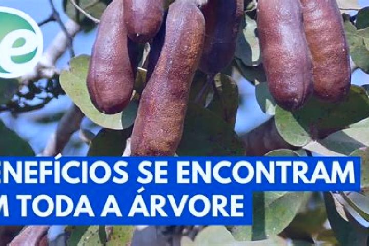Layla, 26 — Escort in Jatoba do Piaui, Brazil