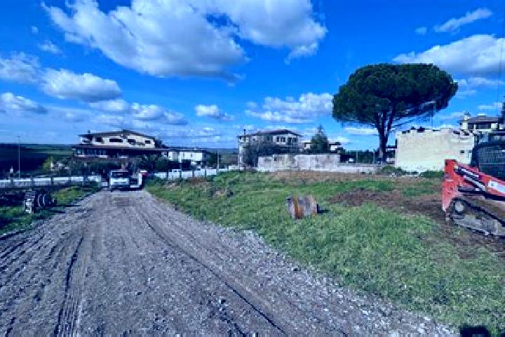 Layla, 26 — Escort in Monte Cremasco, Italy