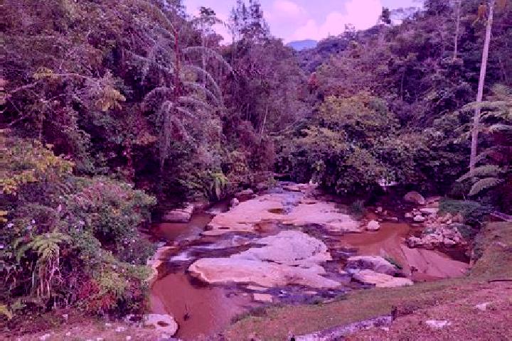 Layla, 26 — Escort in Raub, Malaysia