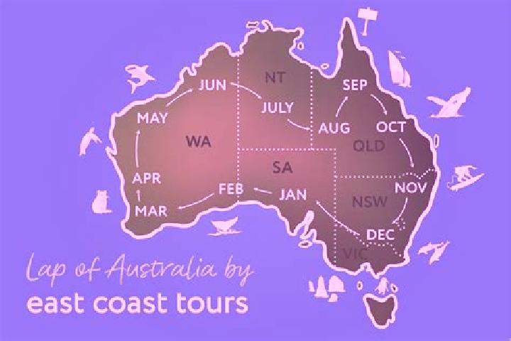 Layla, 26 — Escort in Teralba, Australia