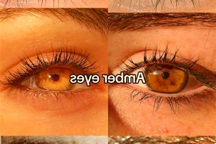 Layla, 27, a chestnut amber-eyed ebony companion based in Zvyzhen. Offering Massage, Domination, Dinner Date, CIM. Available for incall and outcall, day and ...