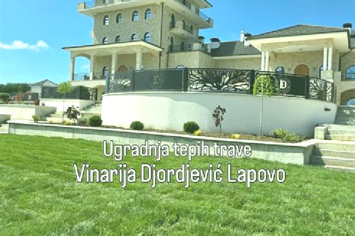 Layla, 27 — Escort in Lapovo, Serbia
