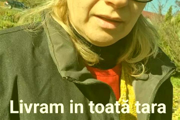 Layla, 27 — Escort in Rugasesti, Romania